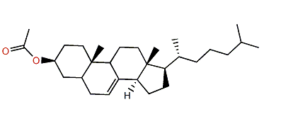 Cholest-7-en-3b-yl acetate